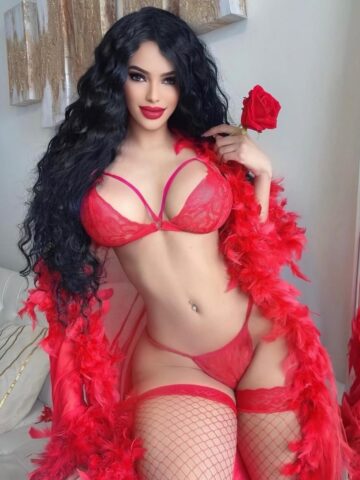 איטלקיה בחיפה